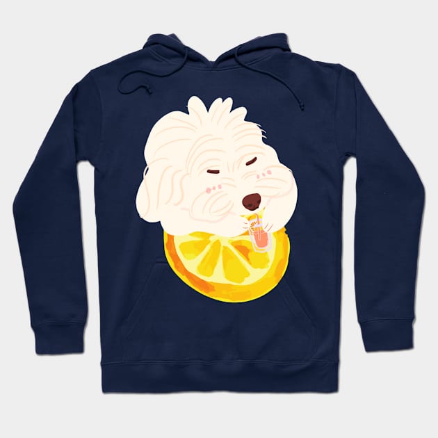 Maltipoo Drinking Orange Juice Hoodie by PatternbyNOK